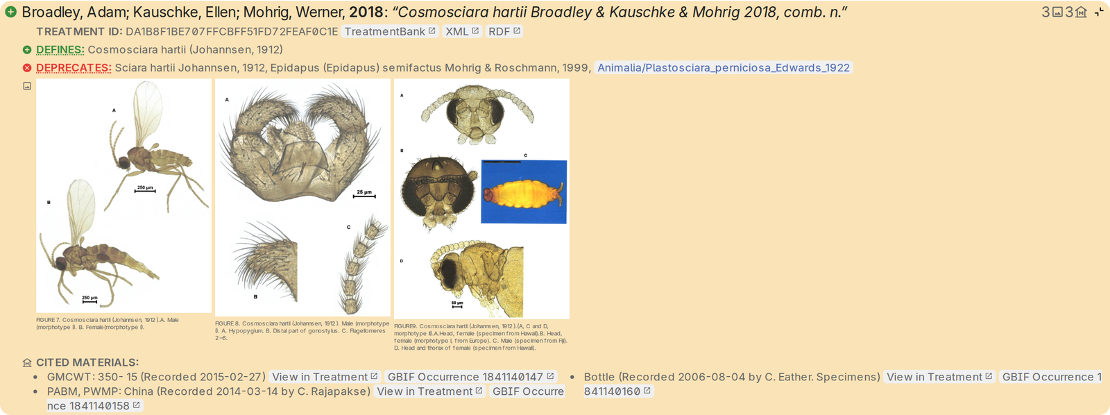An expanded treatment in Synospecies with figures and cited material